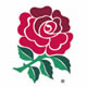 Rugby Football Union (RFU)